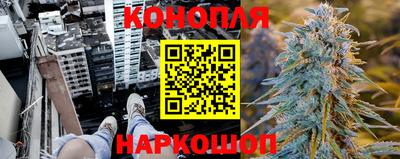 индика Коммунар