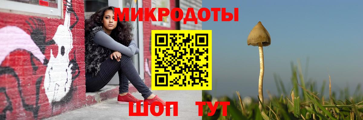 Галлюциногенные грибы MAGIC MUSHROOMS  Вход с VPN  Галлюциногенные грибы ЛСД  Джанкой 